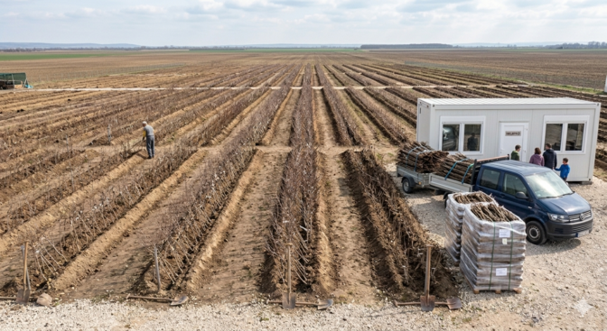 Farkas Faiskola | Szentkirály