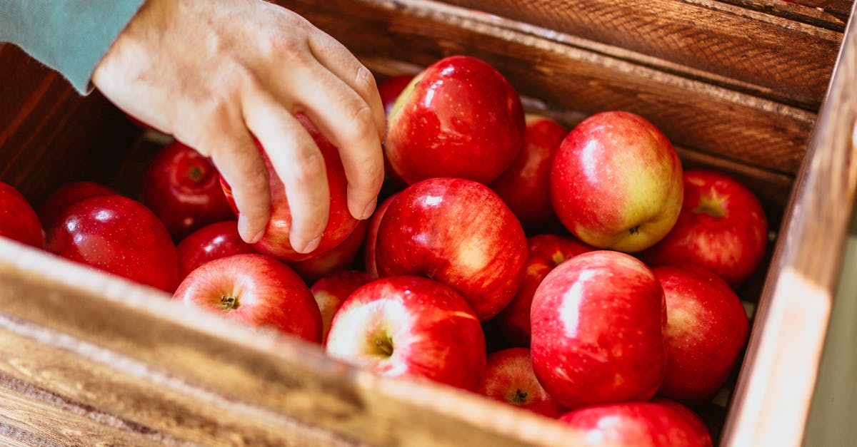 Farkas Faiskola | Szentkirály