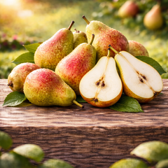 Farkas Faiskola | Szentkirály