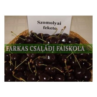 Szomolyai fekete