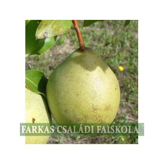 Cserlevelű császár