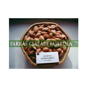 Tétényi keményhéjú