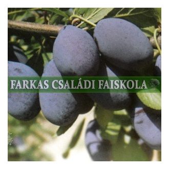 Gömöri nyakasszilva