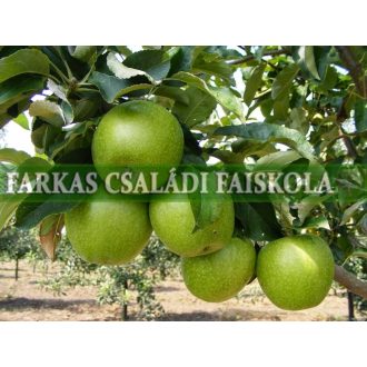 Granny Smith