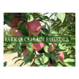 Pirtó Spur Delicius