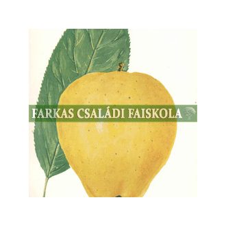 Sárga szépvirágú