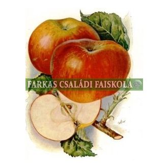 Kecskeméti téli pogácsa