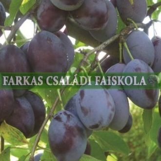 Besztercei muskotály